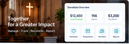 Non-Profit Financial Management System preview